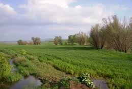 Keskin Beşler  Köyü Resimleri 8