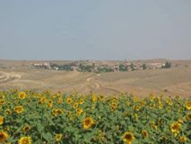 Keskin Cabatobası  Köyü Resimleri 2