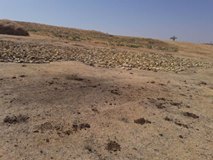 Keskin Cebrailli Köyü Resimleri 2