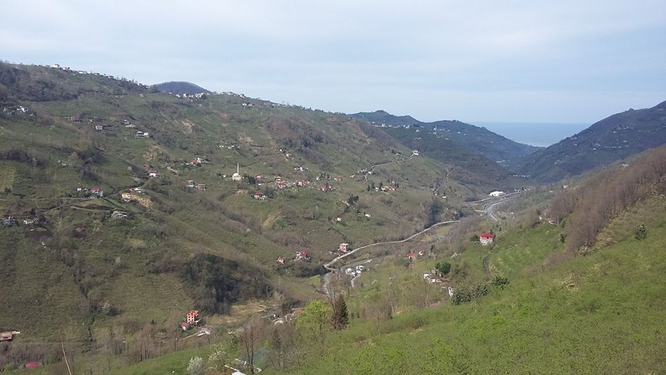 Çarşıbaşı Kavaklı Köyü Resimleri 10