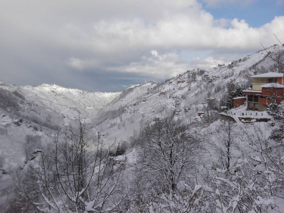 Çarşıbaşı Kavaklı Köyü Resimleri 12