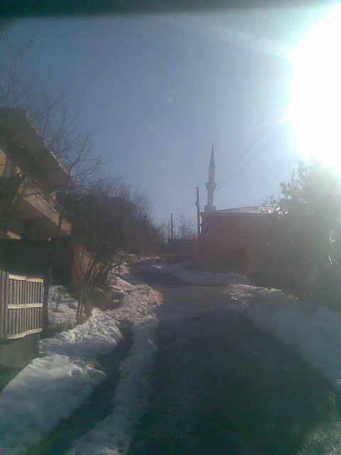 Çarşıbaşı Kavaklı Köyü Resimleri 14