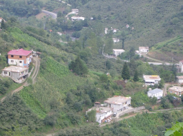 Çarşıbaşı Kavaklı Köyü Resimleri 16