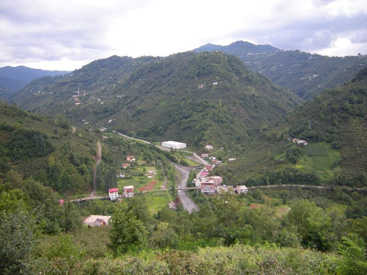 Çarşıbaşı Kavaklı Köyü Resimleri 18