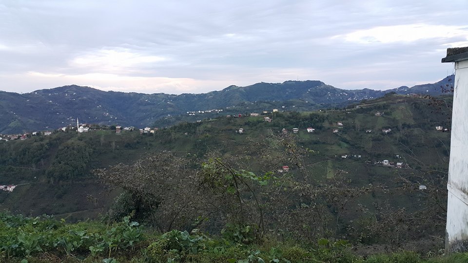 Çarşıbaşı Kavaklı Köyü Resimleri 19