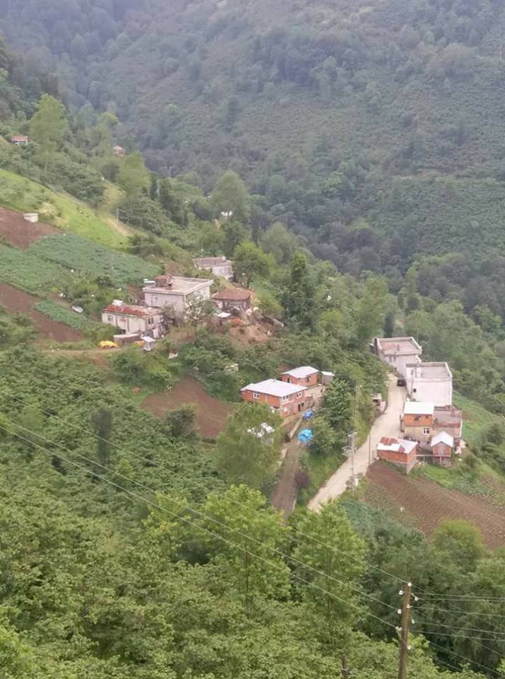 Çarşıbaşı Kavaklı Köyü Resimleri 3