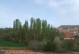 Keskin Çalış  Köyü Resimleri 7