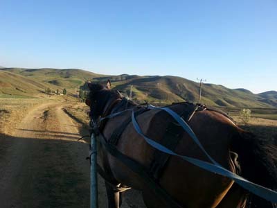 Ağrı Özveren Köyü Resimleri 2