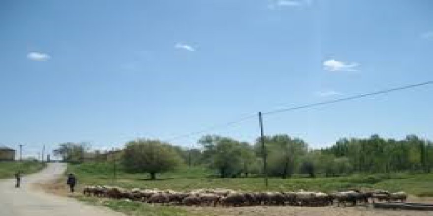 Keskin Göçbeyli  Köyü Resimleri