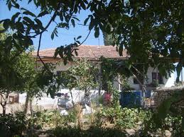 Keskin Gülkonak  Köyü Resimleri 1