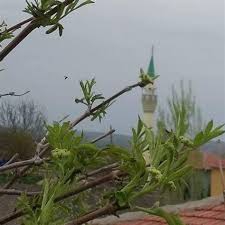 Keskin Hacıömersolaklısı Köyü 1