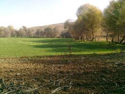 Keskin Hacıömersolaklısı Köyü 7