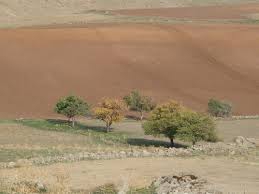 Delice Haydardede Köyü Resimleri 6