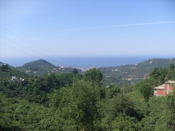 Keşap Altınpınar Köyü Resimleri 1