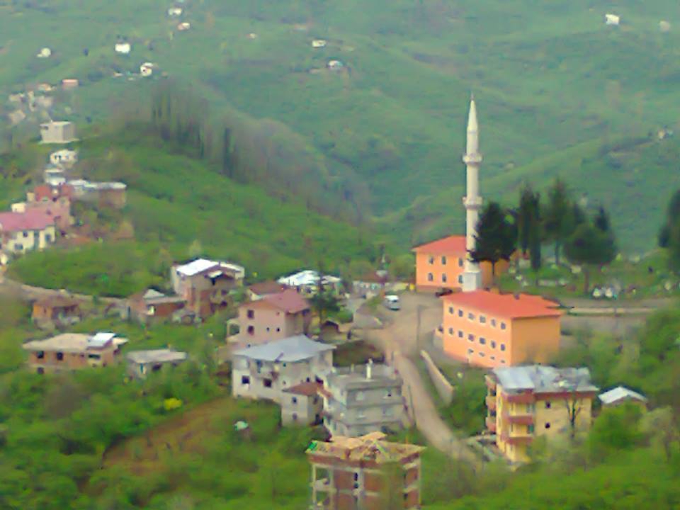 Keşap Altınpınar Köyü Resimleri 2