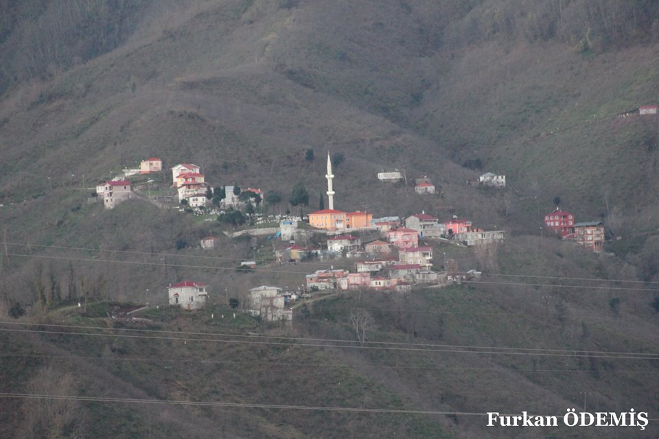 Keşap Altınpınar Köyü Resimleri 3