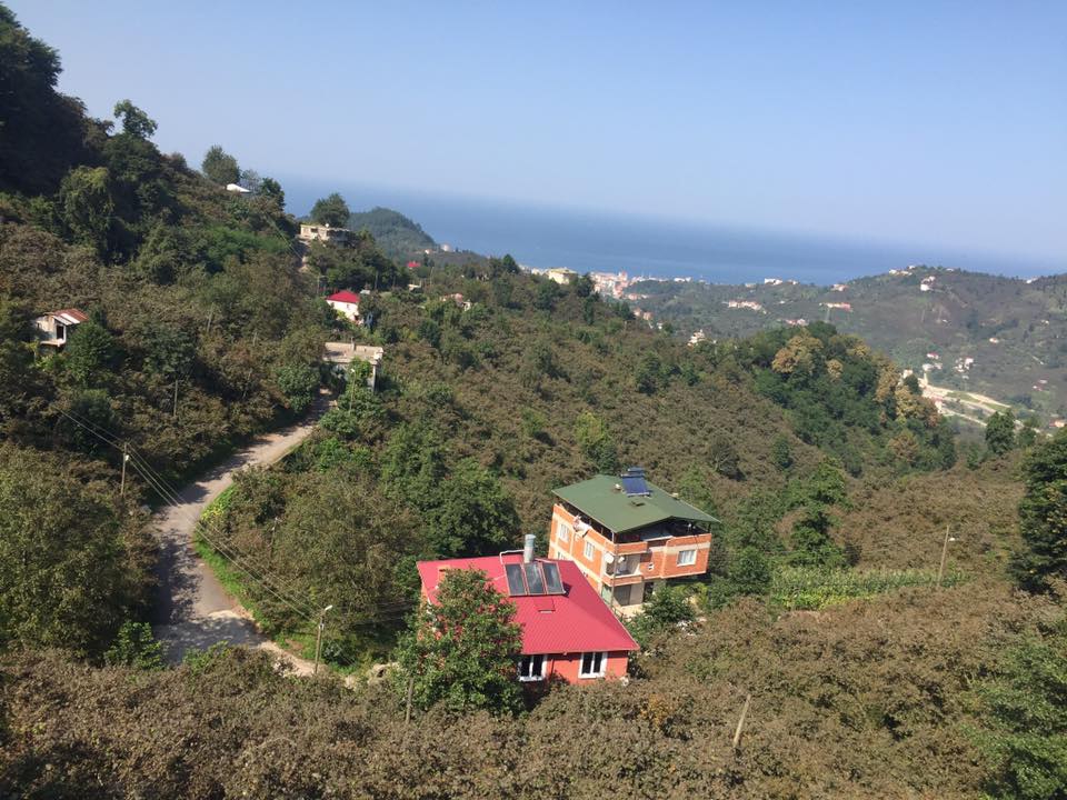 Keşap Altınpınar Köyü Resimleri 6