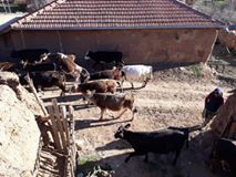 Keskin Karafakılı Köyü Resimleri 3