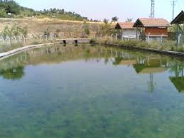 Keskin Kavurgalı Köyü Resimleri 11