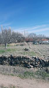 Keskin Kavurgalı Köyü Resimleri 9