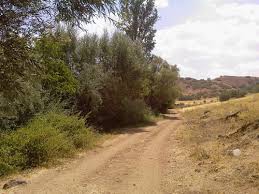 Keskin Kayalaksolaklısı Köyü Resimleri 9