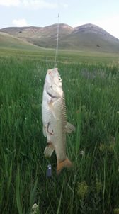 Keskin Kevenli  Köyü Resimleri 1