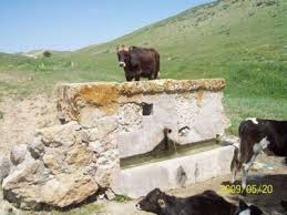 Keskin Kevenli  Köyü Resimleri 3