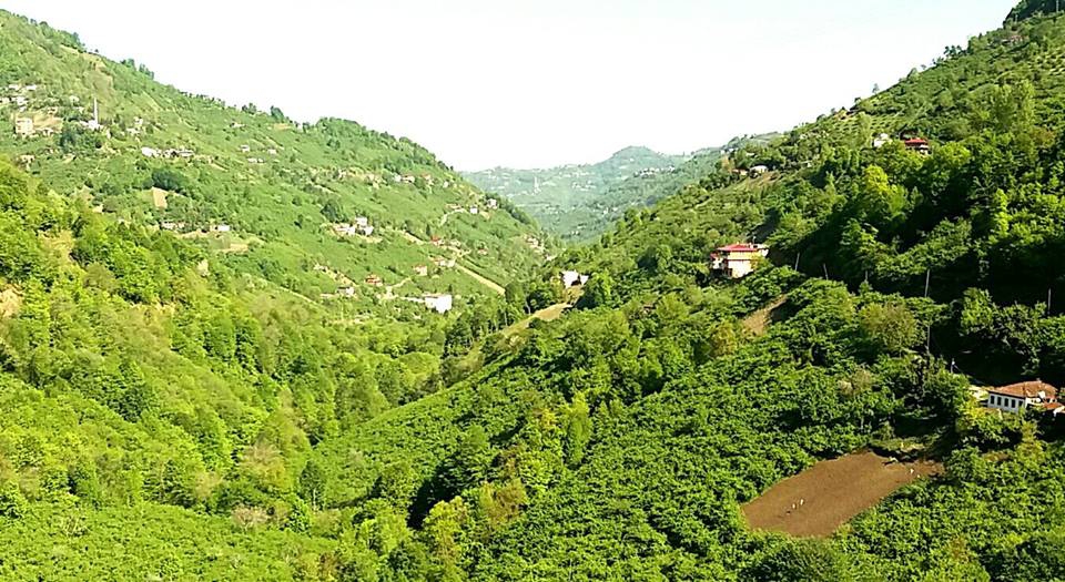 Çarşıbaşı Samsun Köyü 10