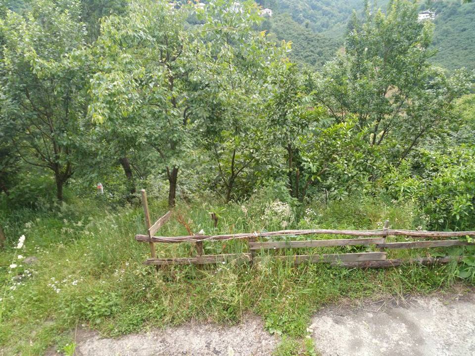 Çarşıbaşı Samsun Köyü 14