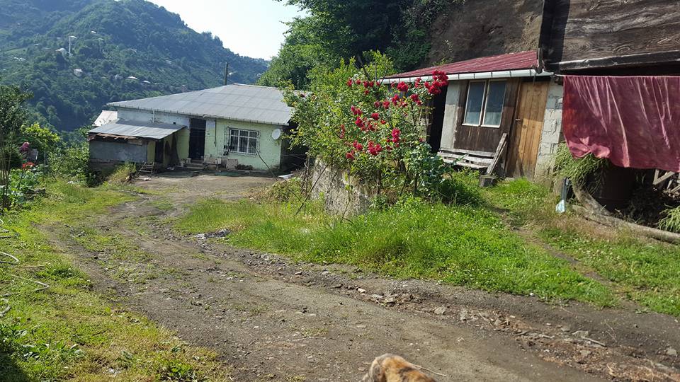 Çarşıbaşı Samsun Köyü 15