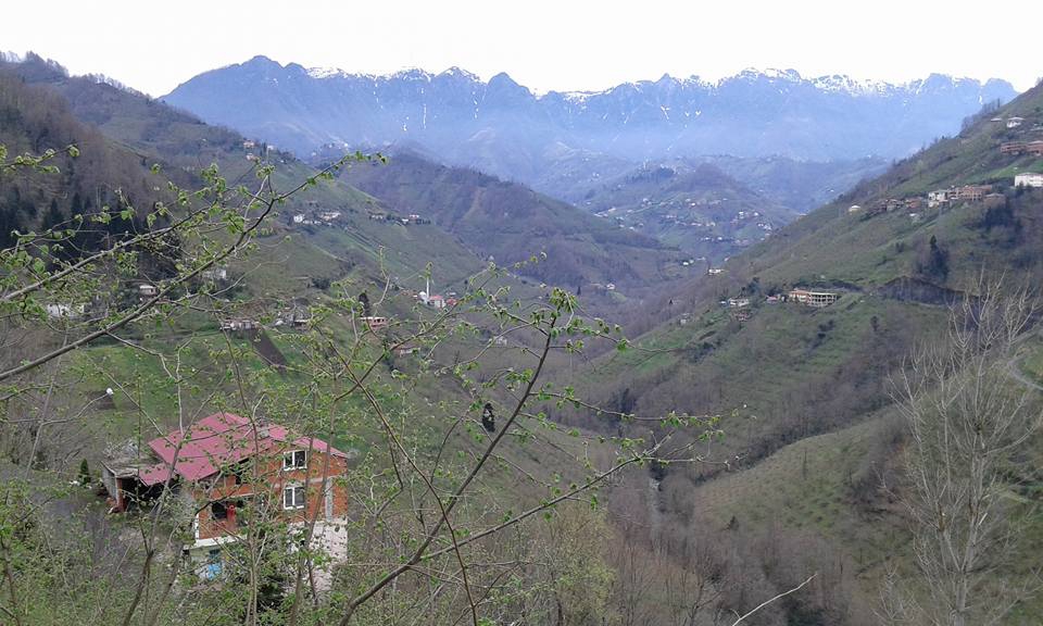 Çarşıbaşı Samsun Köyü 16