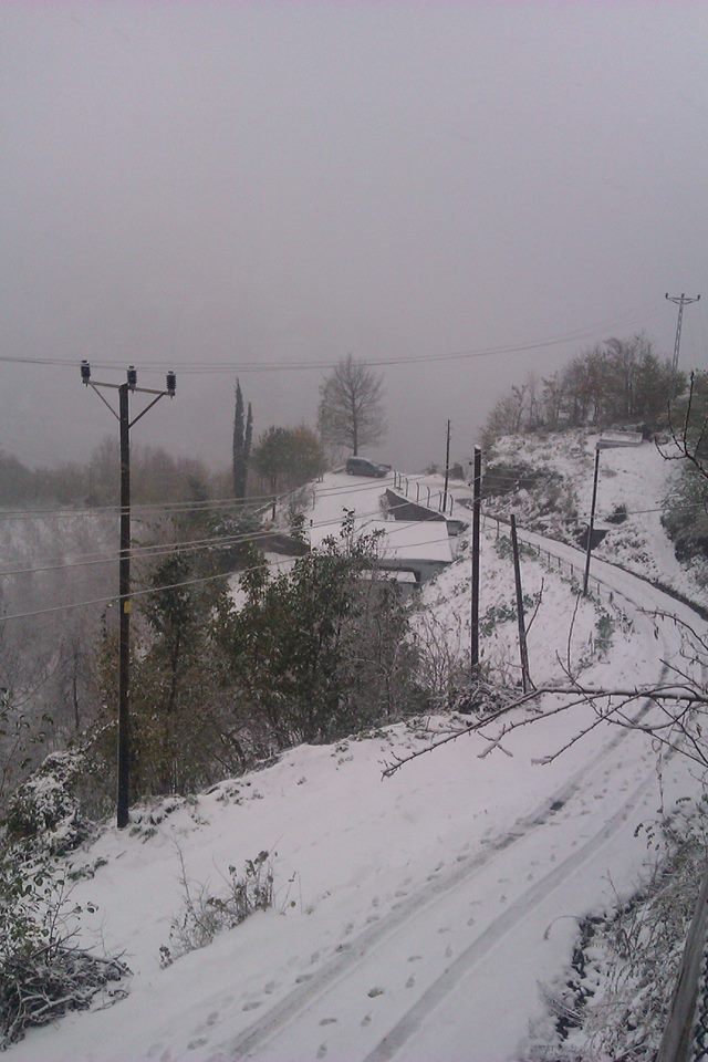 Çarşıbaşı Samsun Köyü 20