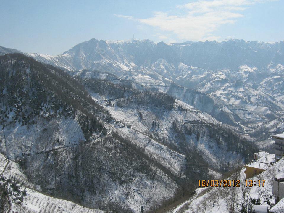 Çarşıbaşı Samsun Köyü 22