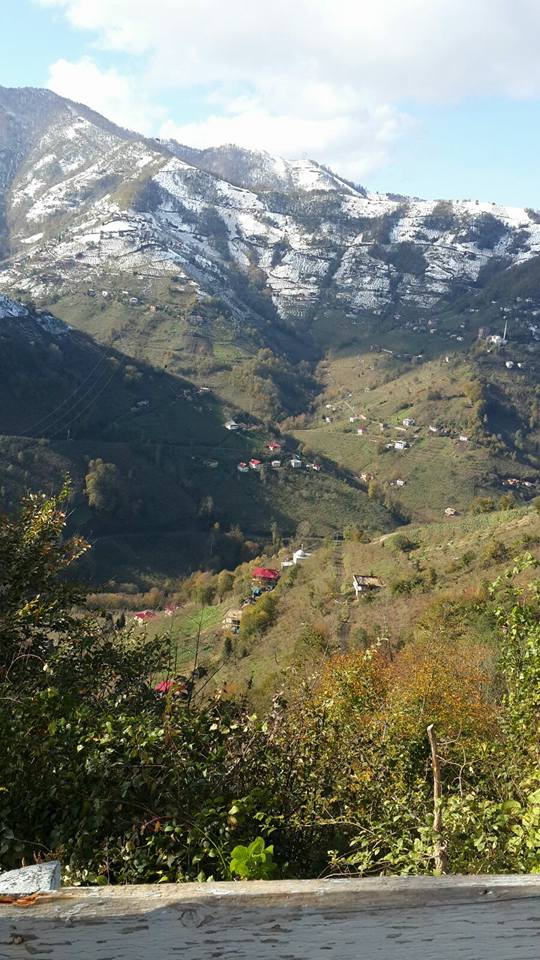 Çarşıbaşı Samsun Köyü 7