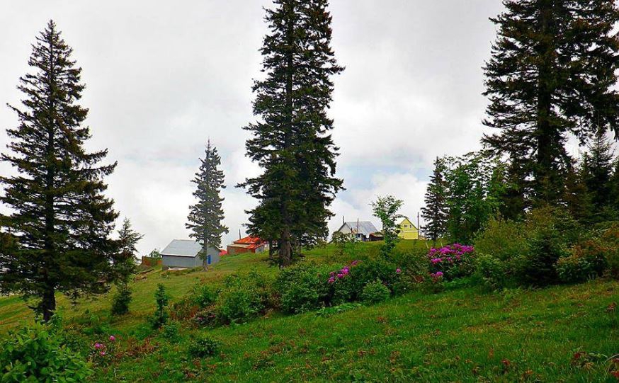 Çarşıbaşı Şahinli Köyü Resimleri 11