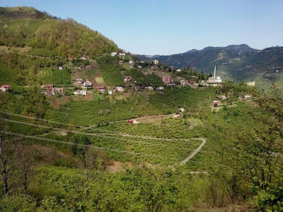 Çarşıbaşı Şahinli Köyü Resimleri 13