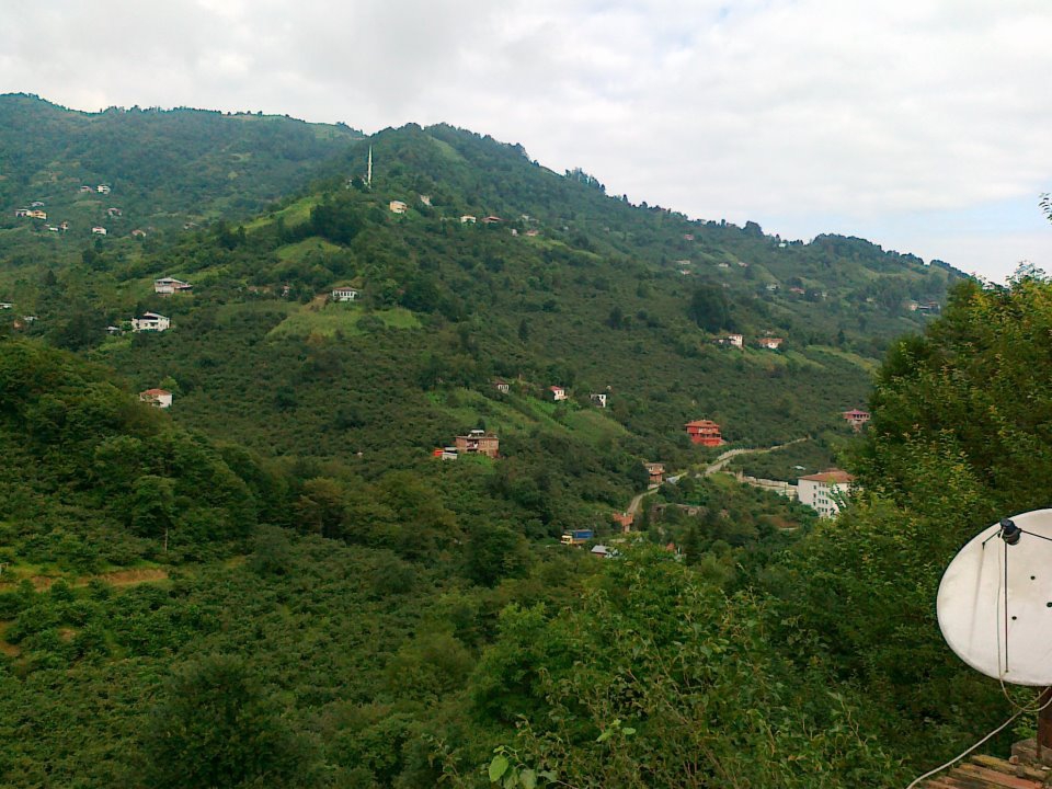 Çarşıbaşı Şahinli Köyü Resimleri 16