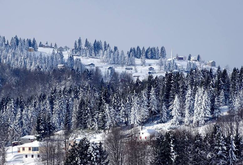 Çarşıbaşı Şahinli Köyü Resimleri 17
