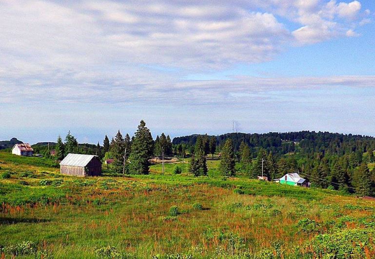 Çarşıbaşı Şahinli Köyü Resimleri 2