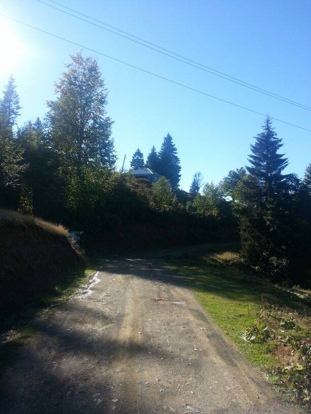 Çarşıbaşı Şahinli Köyü Resimleri 25