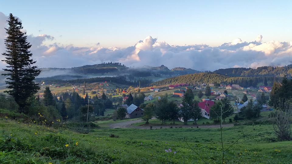Çarşıbaşı Şahinli Köyü Resimleri 29