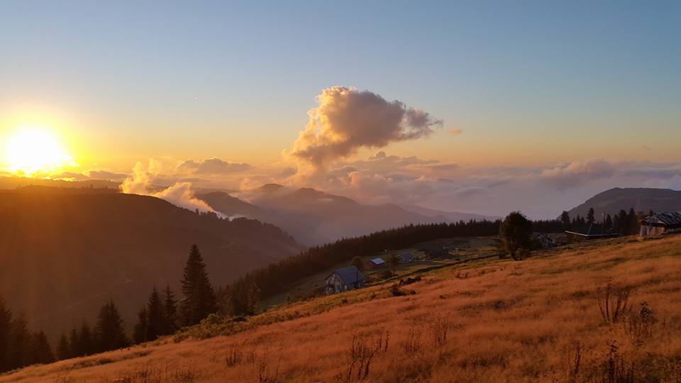 Çarşıbaşı Şahinli Köyü Resimleri 30