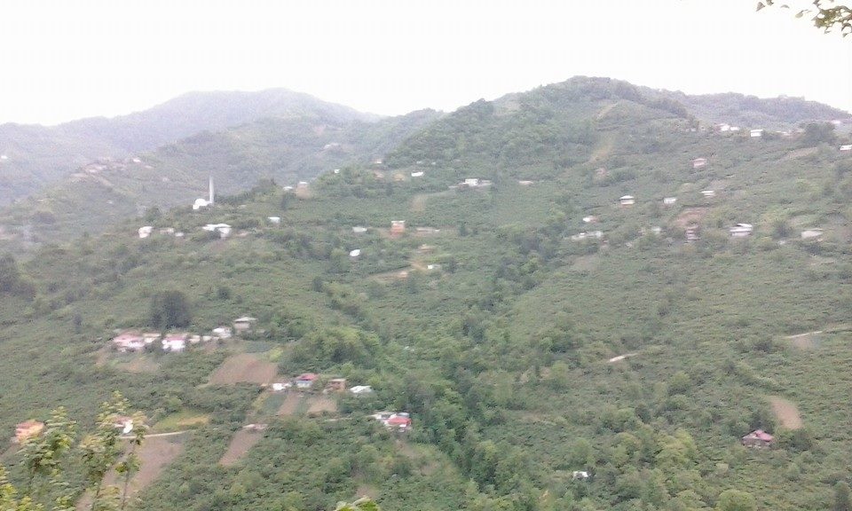 Çarşıbaşı Şahinli Köyü Resimleri 7