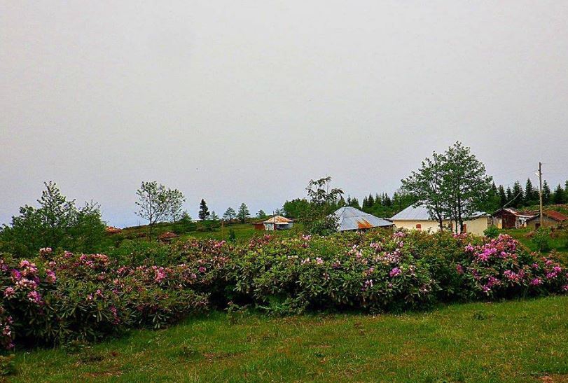 Çarşıbaşı Şahinli Köyü Resimleri 9