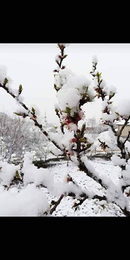 Sulakyurt Yağbasan Köyü Resimleri 3