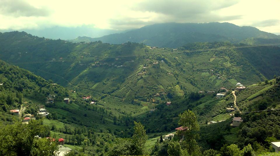 Çarşıbaşı Taşlıtepe Köyü Resimleri 1