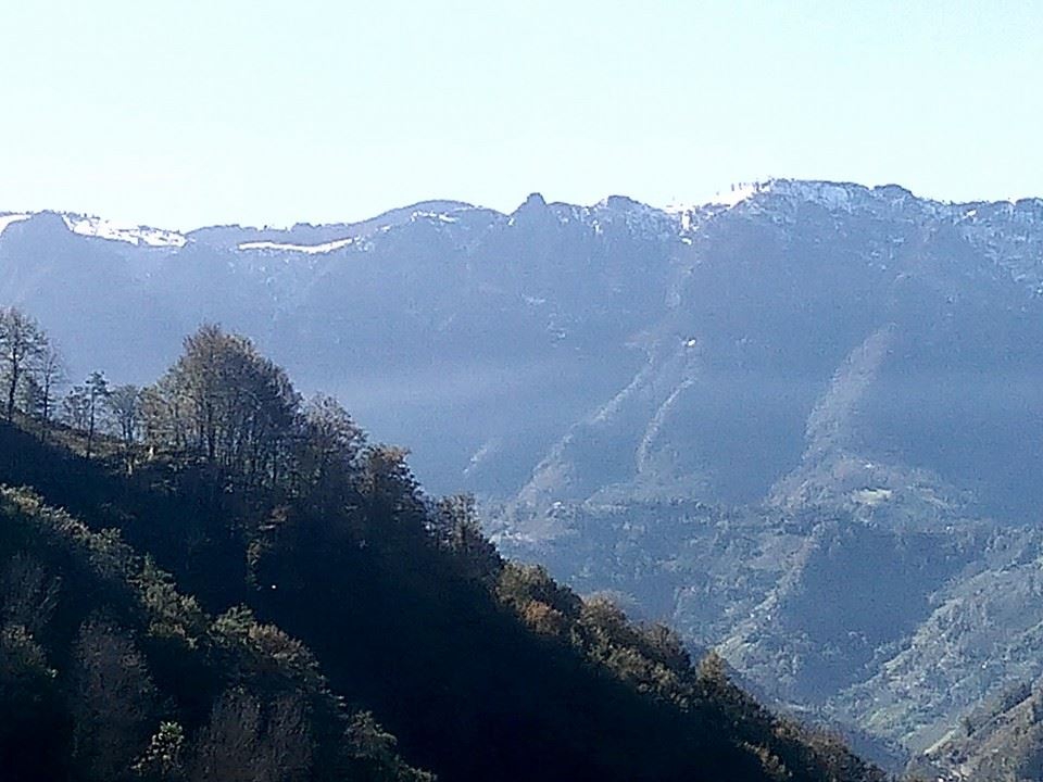 Çarşıbaşı Taşlıtepe Köyü Resimleri 10