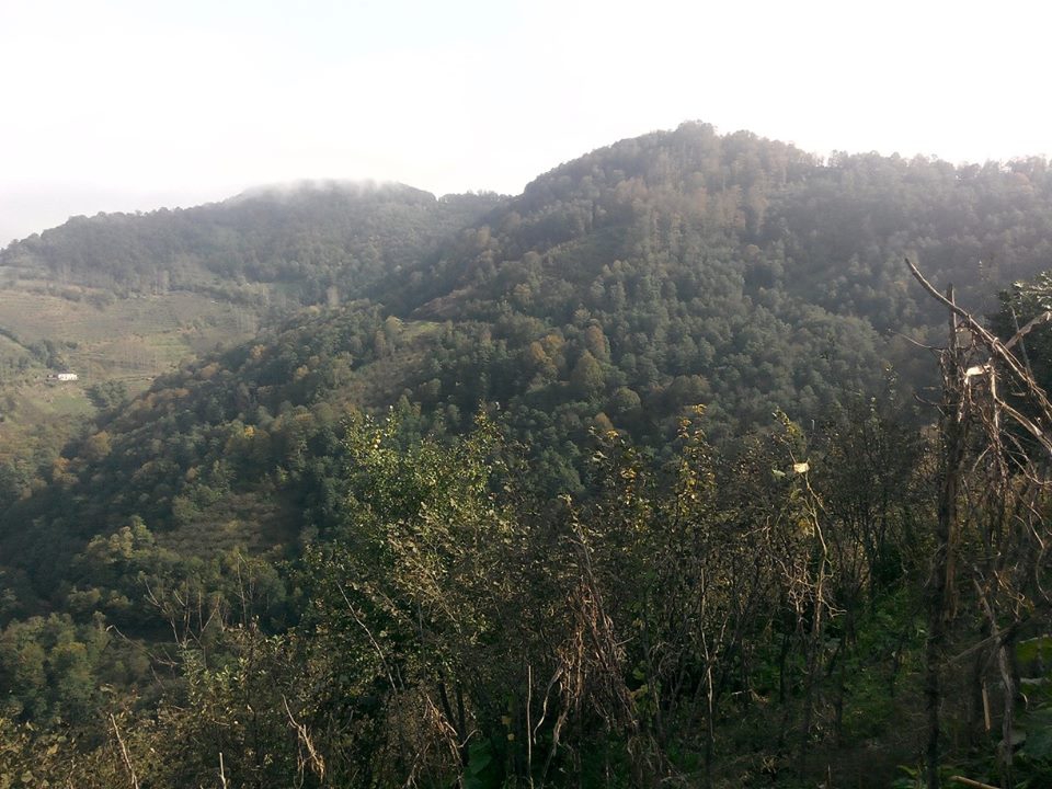 Çarşıbaşı Taşlıtepe Köyü Resimleri 11