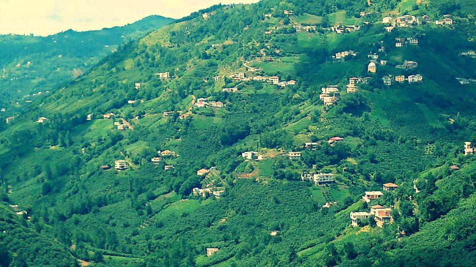 Çarşıbaşı Taşlıtepe Köyü Resimleri 13