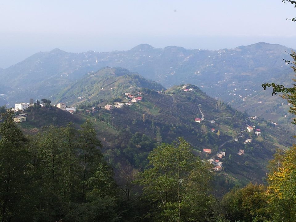 Çarşıbaşı Taşlıtepe Köyü Resimleri 2